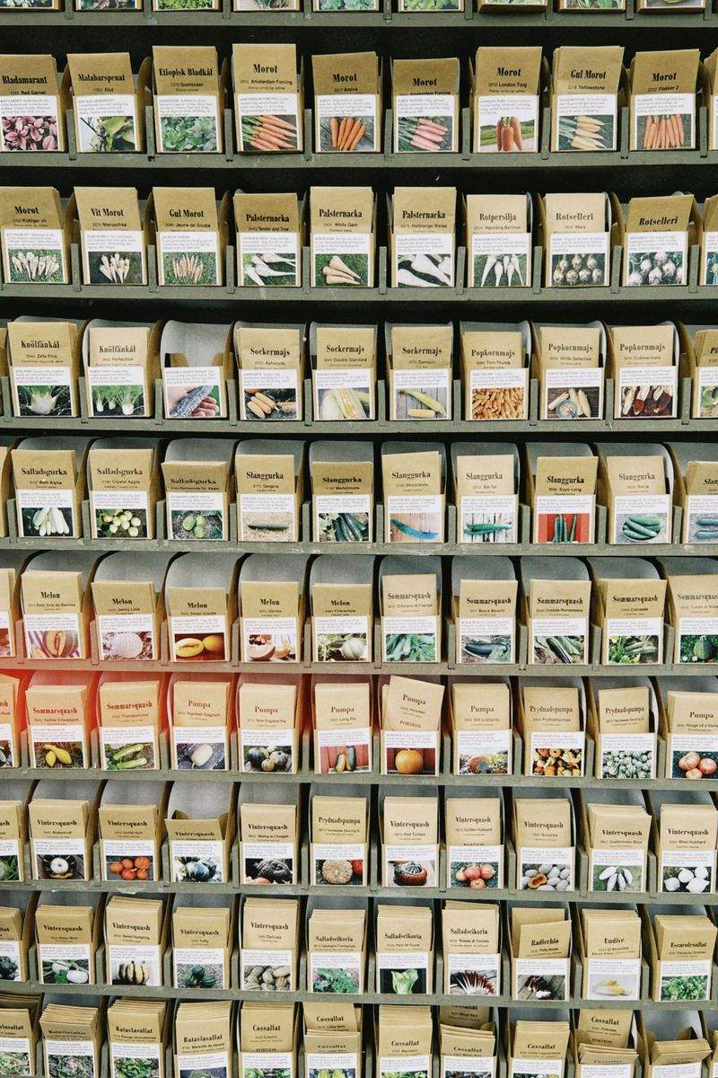 مكتبة الإمارات الإلكترونية - Image 15